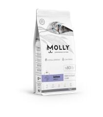 MOLLY YAVRU KEDİ SOMONLU 2 KG