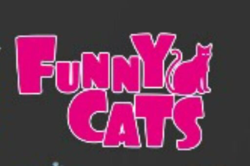 FUNNY CAT