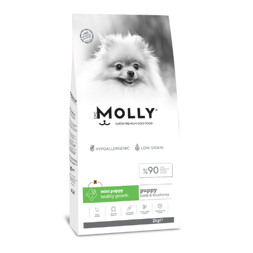 MOLLY DOG MİNİ PUPPY 8 KG