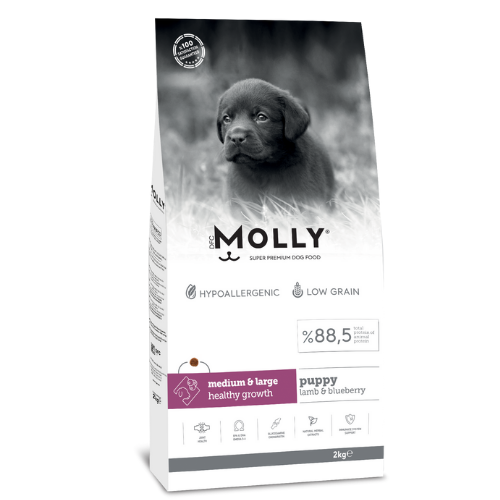 MOLLY DOG  MEDİUM-LARGE PUPPY 15 KG