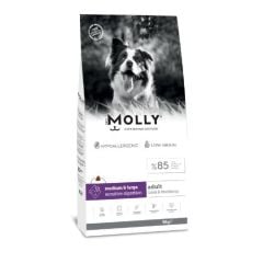 MOLLY DOG  MEDİUM-LARGE  KUZU 15 KG