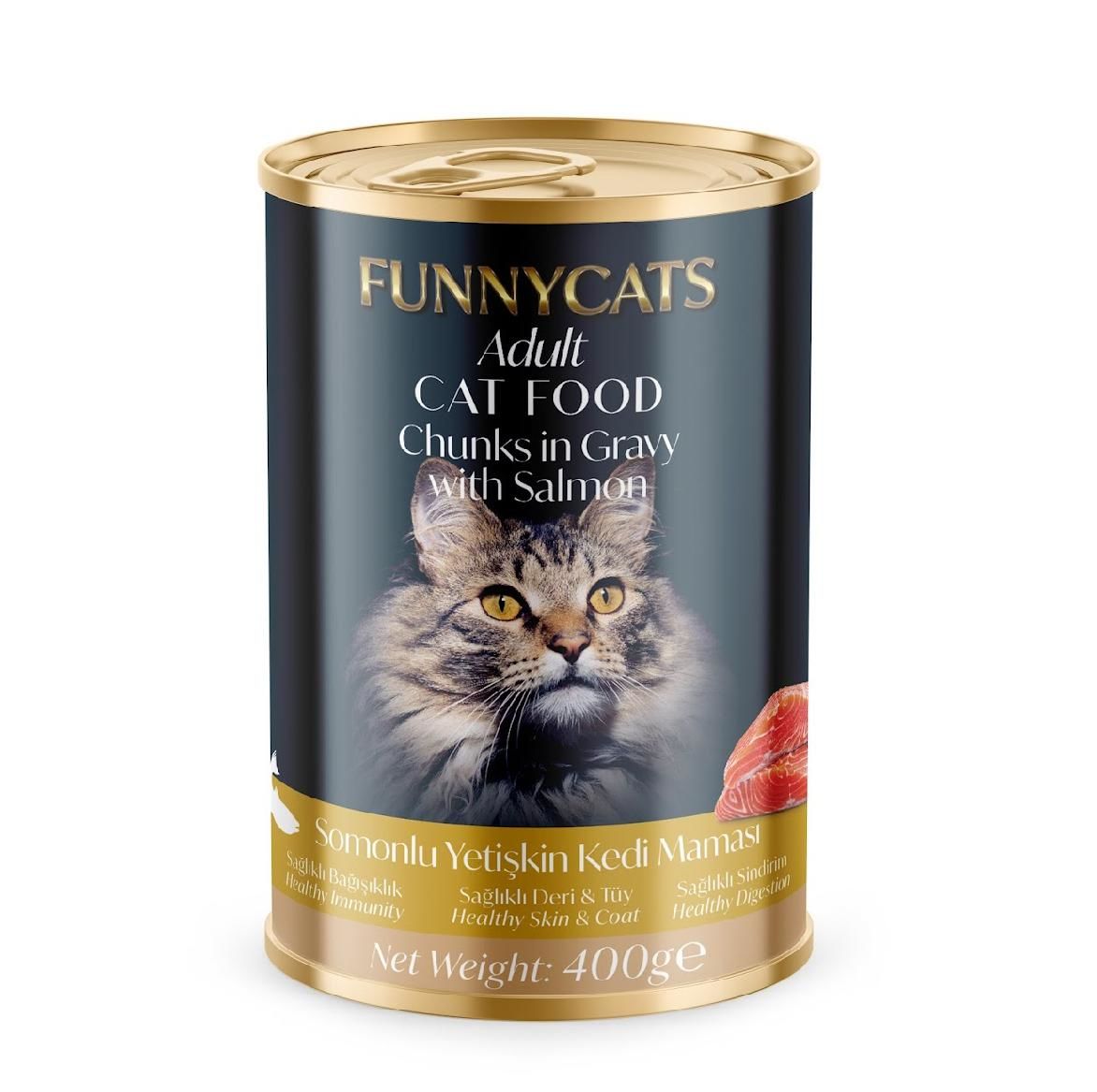 FUNNY CAT 12'Lİ  KEDİ KONSERVESİ 400 GR SOMONLU