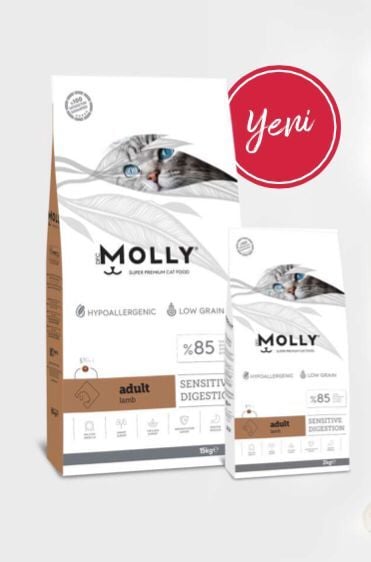 MOLLY YETİŞKİN KUZULU KEDİ MAMASI 15 KG