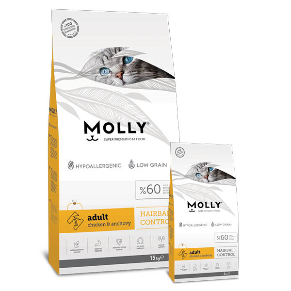 MOLLY TAVUKLU HAMSİLİ KEDİ MAMASI 2 KG