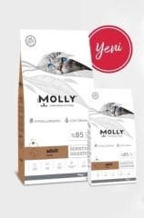 MOLLY YETİŞKİN KUZULU KEDİ MAMASI 2 KG