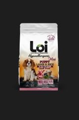 90124-LOİ YAVRU KÖPEK KUZU MİNİ IRK  3 KG