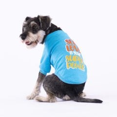 23701-PAWSTAR 5'Lİ TURKUAZ POWER SWEAT ELBİSE