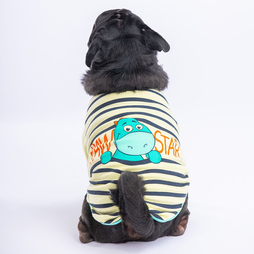 23727-PAWSTAR 5'Lİ LİMON DİNO STAR SWEAT ELBİSE