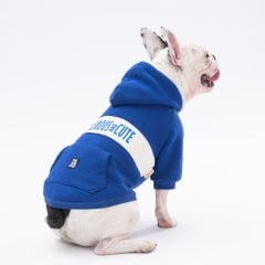 23705-PAWSTAR 5'Lİ MAVİ CUTE HOODİE ELBİSE