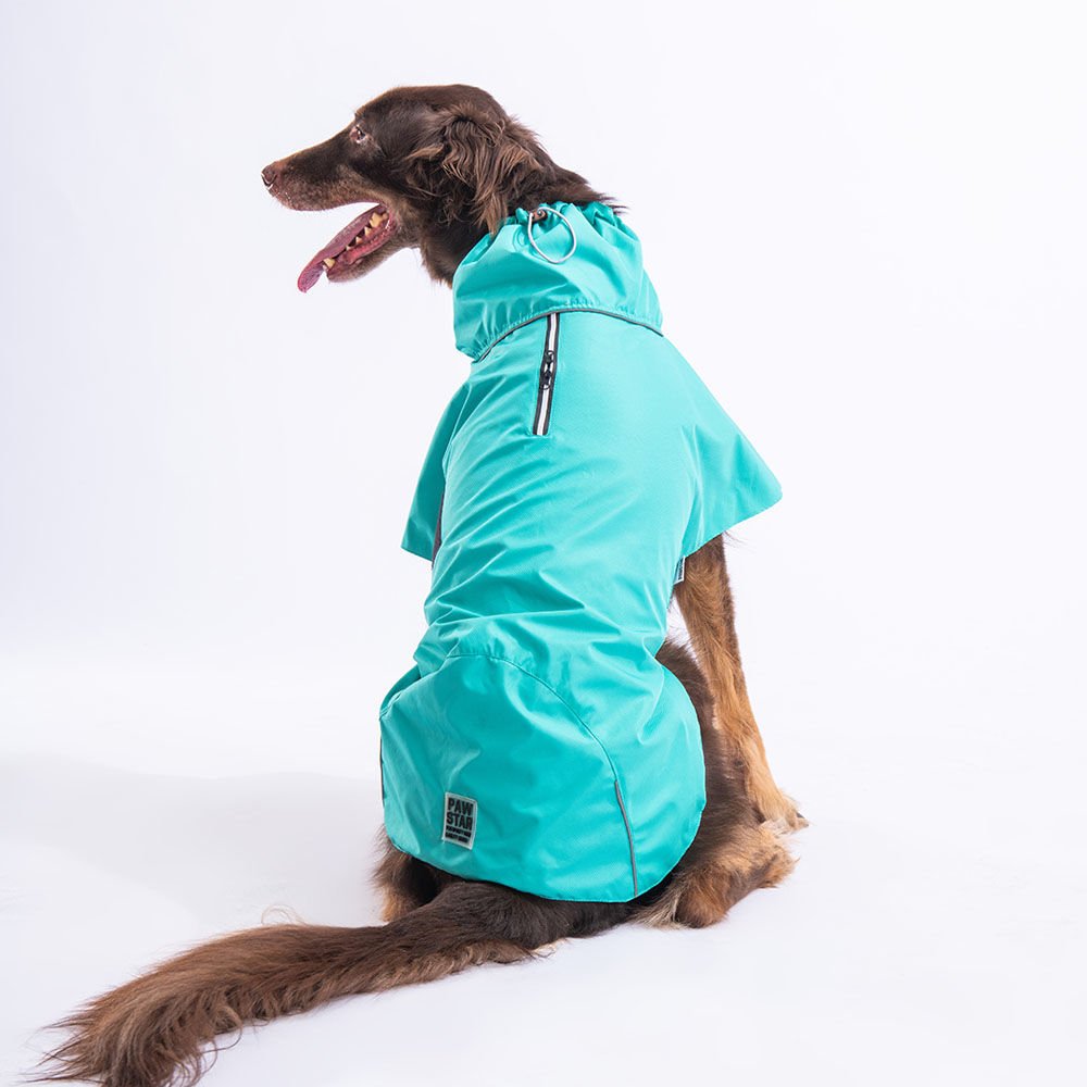 23528-PAWSTAR 5'Lİ MİNT COLOMBİA YAĞMURLUK ELBİSE