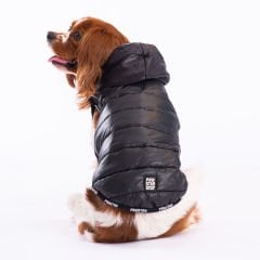 23102-PAWSTAR 5'Lİ SİYAH RAİLWAY YELEK ELBİSE