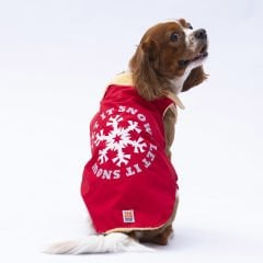 24109-PAWSTAR 5'Lİ KIRMIZI YUKON YELEK ELBİSE