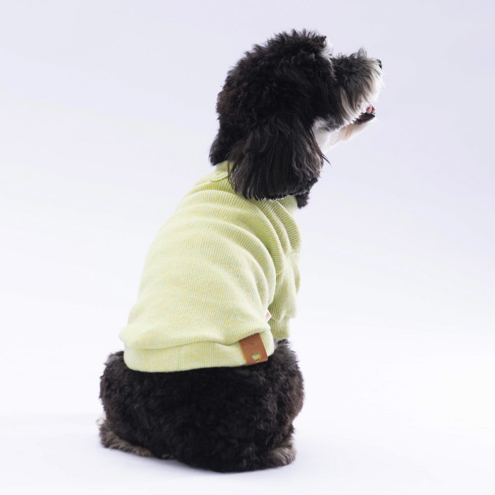 24725-PAWSTAR 5'Lİ SARI MENNO SWEAT ELBİSE