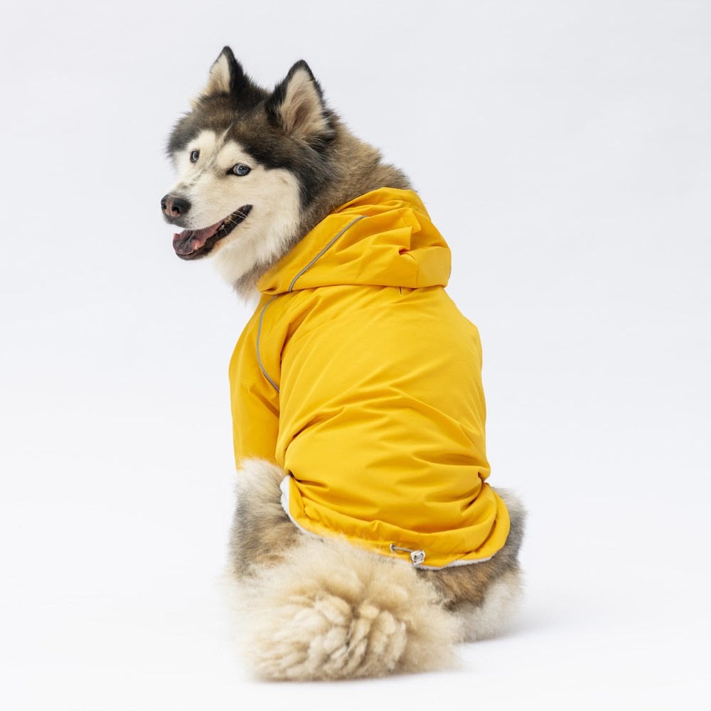 22554-PAWSTAR5'Lİ ELBİSE