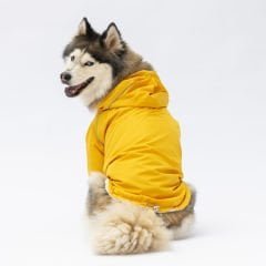 22554-PAWSTAR5'Lİ ELBİSE