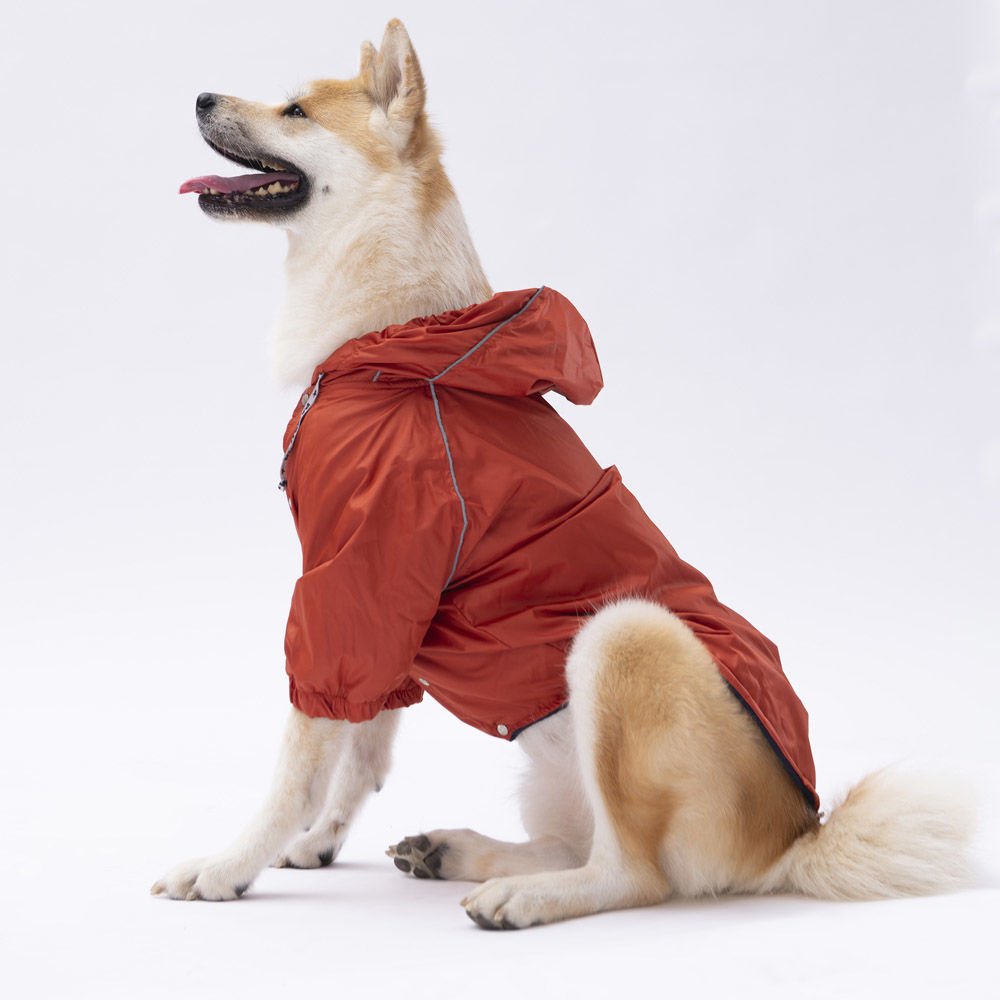 22555-PAWSTAR 5'Lİ ELBİSE