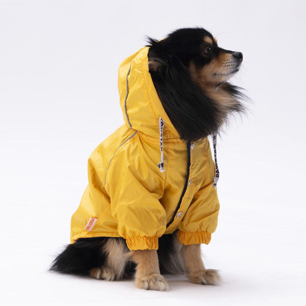 22551-PAWSTAR 5'Lİ YELLOW PLUVİA ELBİSE