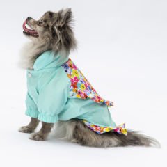 24512-PAWSTAR 5'Lİ ELBİSE