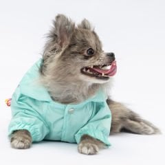 24512-PAWSTAR 5'Lİ ELBİSE
