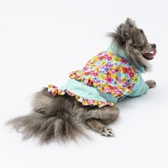 24512-PAWSTAR 5'Lİ ELBİSE