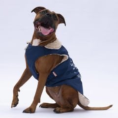 24152-PAWSTAR 5'Lİ ELBİSE