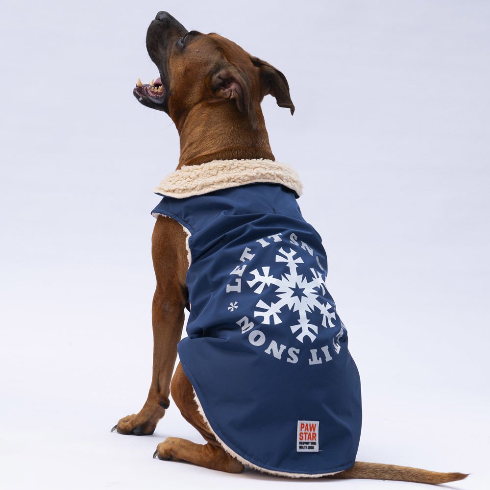 24152-PAWSTAR 5'Lİ ELBİSE