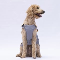 24151-PAWSTAR 5'Lİ ELBİSE