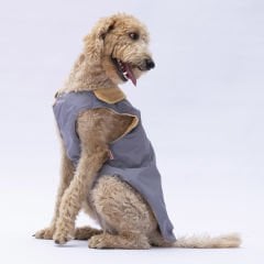 24151-PAWSTAR 5'Lİ ELBİSE