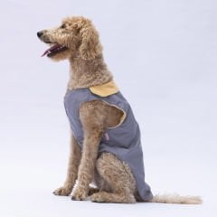 24151-PAWSTAR 5'Lİ ELBİSE