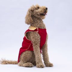 24153-PAWSTAR 5'Lİ ELBİSE