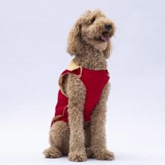 24153-PAWSTAR 5'Lİ ELBİSE