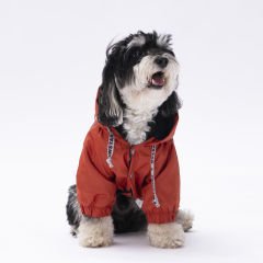 22552-PAWSTAR 5'Lİ ORANGE PLUVİA ELBİSE