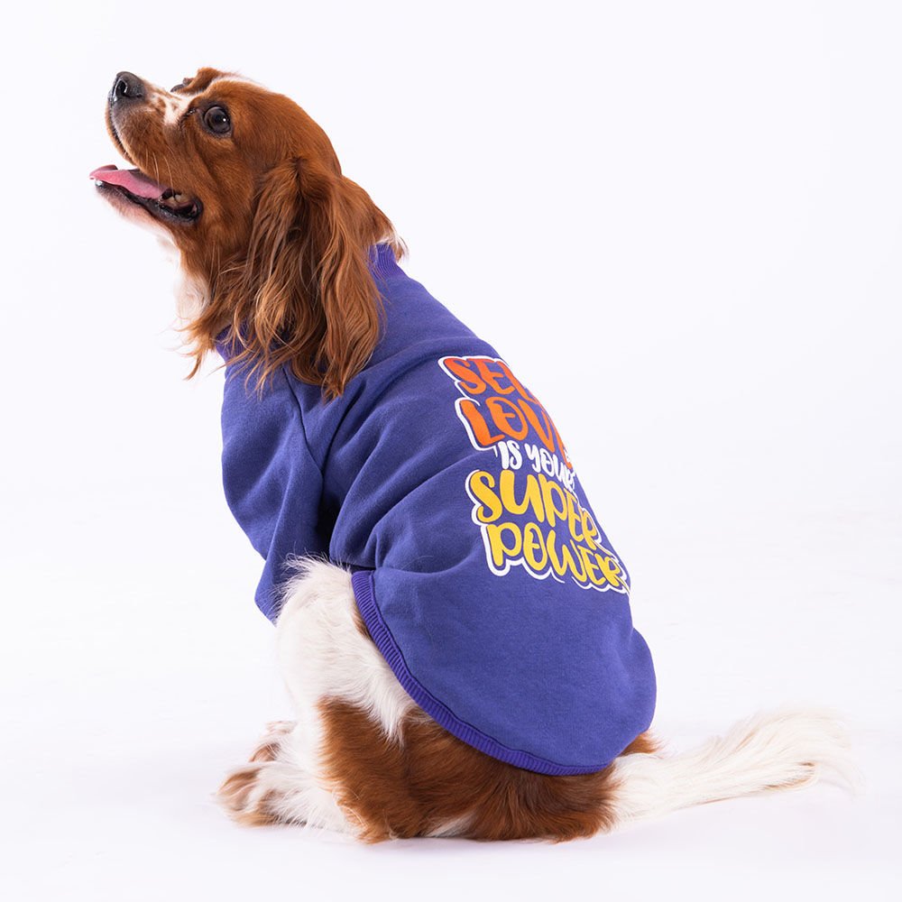 23703-PAWSTAR 5'Lİ MOR POWER SWEAT ELBİSE