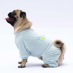 24917-PAWSTAR 5'Lİ MİNT ANGER TULUM ELBİSE