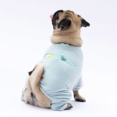 24917-PAWSTAR 5'Lİ MİNT ANGER TULUM ELBİSE