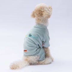 24917-PAWSTAR 5'Lİ MİNT ANGER TULUM ELBİSE