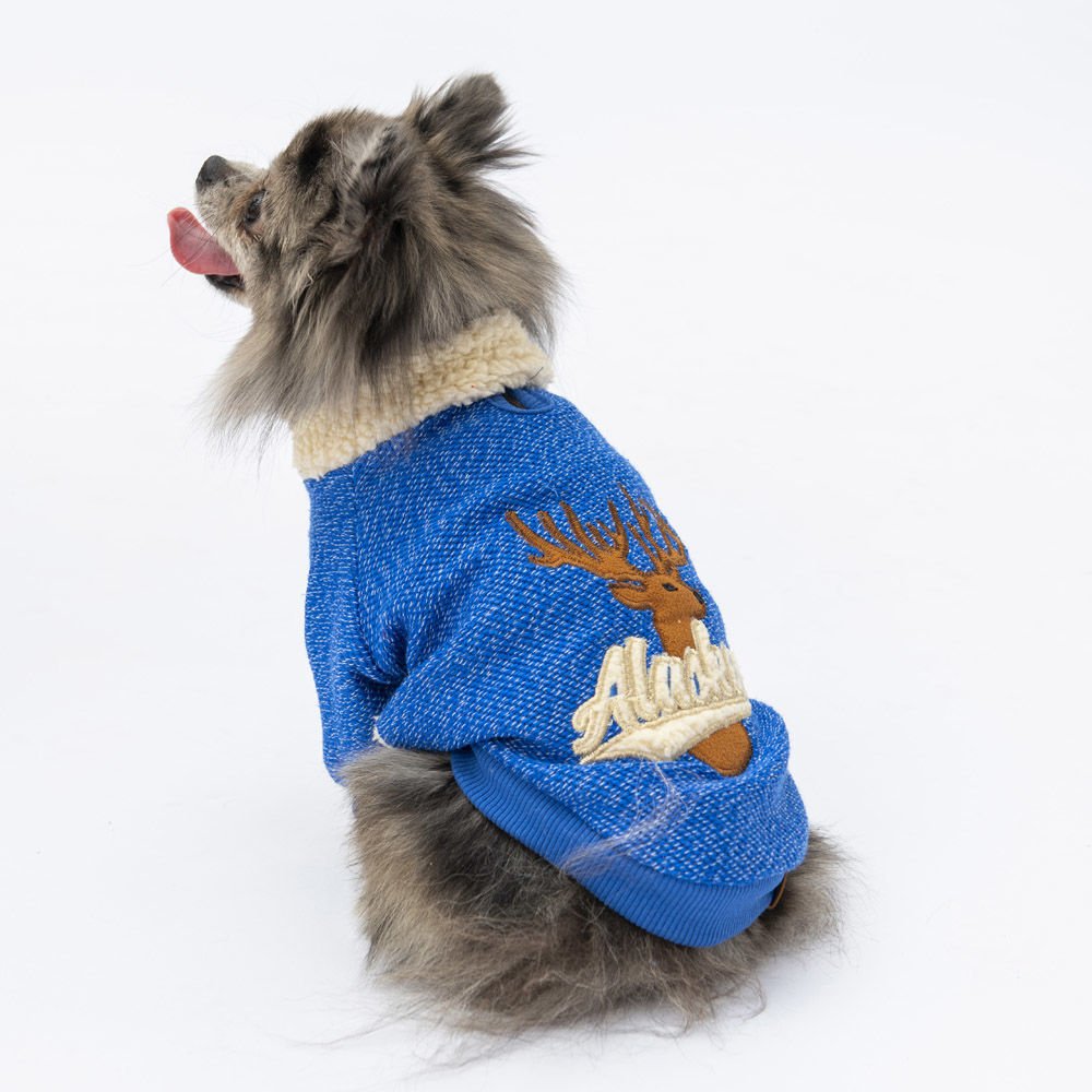 24708-PAWSTAR 5'Lİ ELBİSE