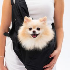 23022-PAWSTAR SİYAH ANA KUCAĞI