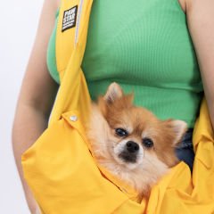 23023-PAWSTAR SARI ANA KUCAĞI
