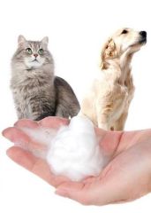 FUNNY CAT KÖPÜK ŞAMPUAN 200 ML VANİLYA