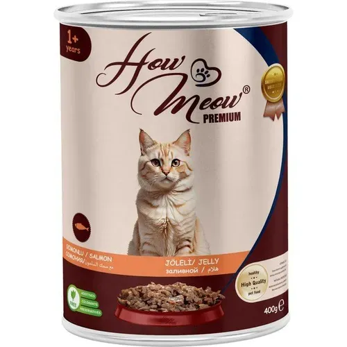 HOW MEOW 12'Lİ SOMONLU KEDİ KONSERVE 400 GR