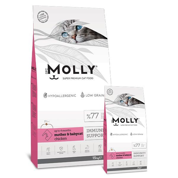 MOLLY BABY CAT YAVRU KEDİ 2 KG (TAVUKLU)