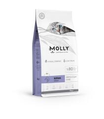 MOLLY YAVRU KEDİ SOMONLU 15 KG