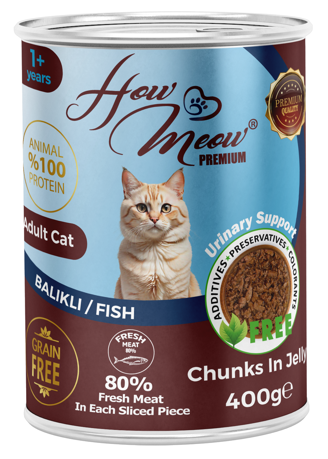 HOW MEOW 12'Lİ BALIKLI KEDİ KONSERVE 400 GR
