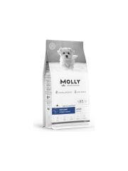 MOLLY DOG MİNİ KISIR SOMON 8 KG