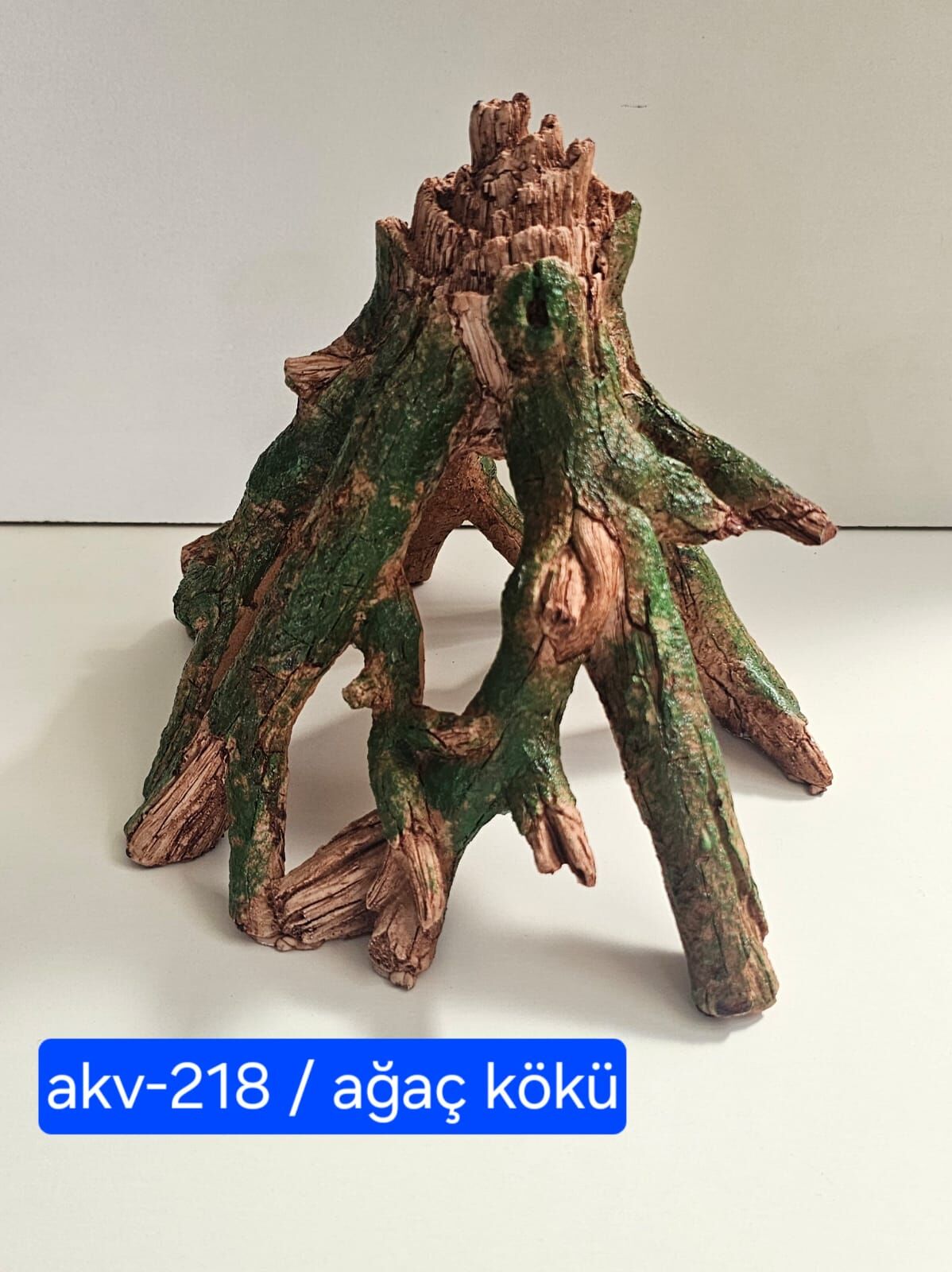 AKV-218 AĞAÇ KÖKÜ