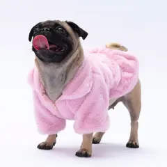 24201-PAWSTAR PEMBE PARİS CEKET ELBİSE