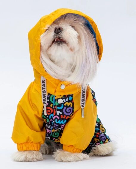 24508-PAWSTAR FERRARA TULUM YAĞMURLUK ELBİSE