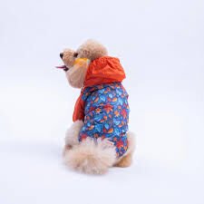 25515PAWSTAR AMSTERDAM FALL YAĞMURLUK ELBİSE