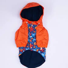 25515PAWSTAR AMSTERDAM FALL YAĞMURLUK ELBİSE